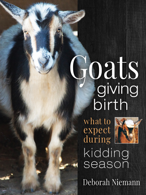 Title details for Goats Giving Birth by Deborah Niemann - Available